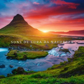 Sons de Cura da Natureza: Experiência da Mente Líquida (Terapia Musical Relaxante) by Relaxar Massagem Clube