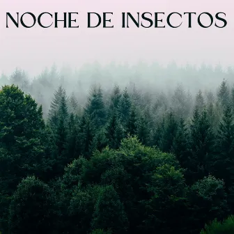 Noche De Insectos by Duérmete Niño