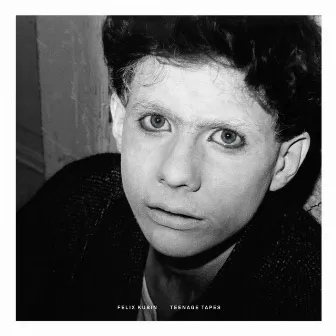 Teenage Tapes by Felix Kubin