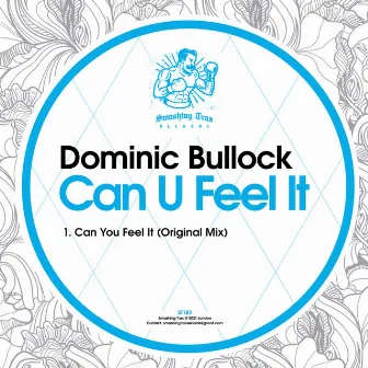 Can U Feel It by Dominic Bullock