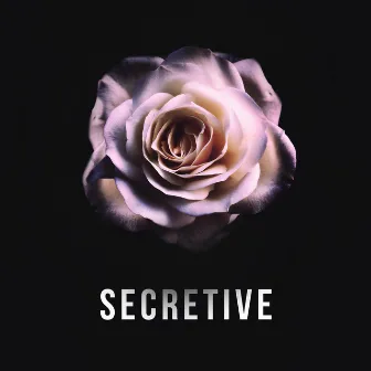 Secretive by Jesse Miles