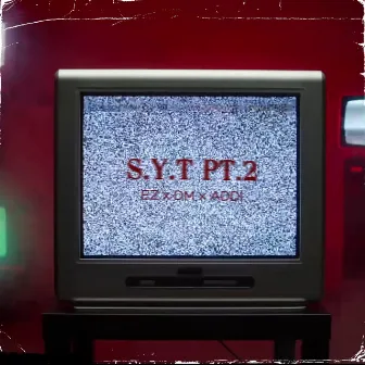 S.Y.T Pt. 2 by Ezekiel Roberts