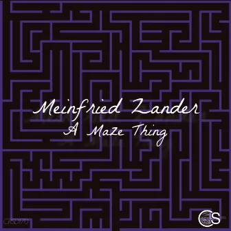 A Maze Thing by Meinfried Zander