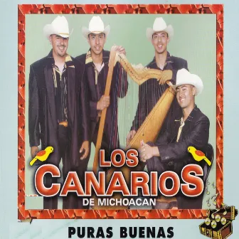 Puras Buenas by Los Canarios De Michoacan