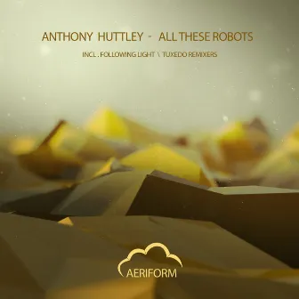 All These Robots by Anthony Huttley