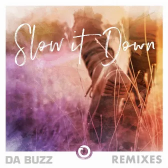 Slow It Down (Remixes) by Johan K