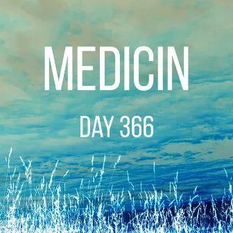 Day 366 by Medicin