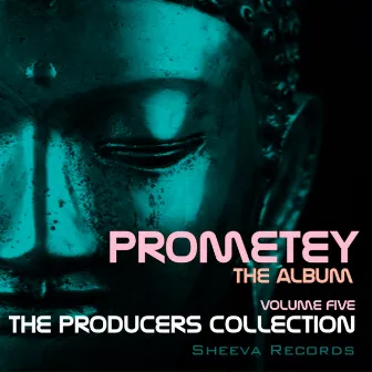 The Producers Collection by 