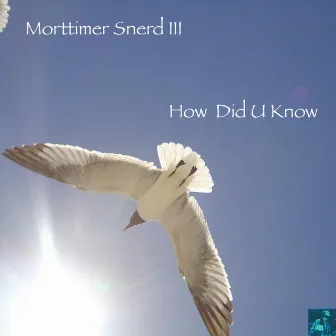 How Did U Know by Morttimer Snerd III