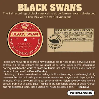 Black Swans: The First Recordings of Black Classical Music Performers by Harry Burleigh