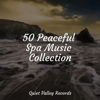 50 Peaceful Spa Music Collection by Binaural Beats Brain Waves Isochronic Tones Brain Wave Entertainment