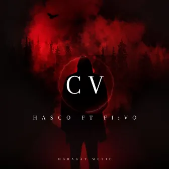 CV by HASCO