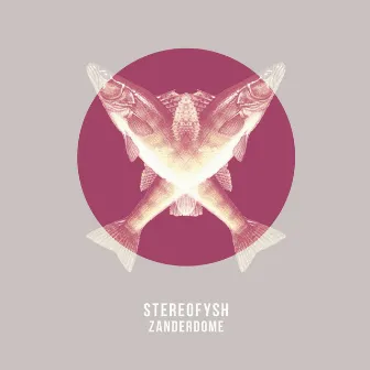 Zanderdome by Stereofysh