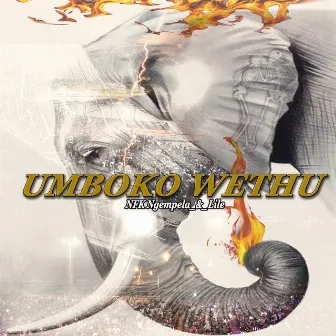 Umboko_Wethu by NFK_Ngempela