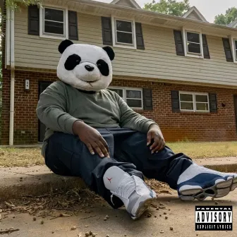 THE PANDA IN THE SWAMP by Eriq Trilly