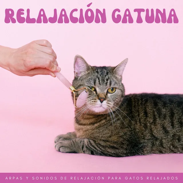 Relajación Gatuna: Arpas Y Sonidos De Relajación Para Gatos Relajados