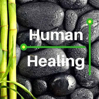 Human Healing - Vibrational Therapeutic Sounds for Spiritual Connection & Meditation by Healing Affirmations