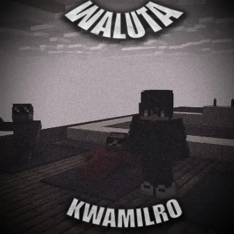 Waluta by KWamilro