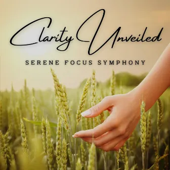 Clarity Unveiled: Meditative Focus Music by Silk Road