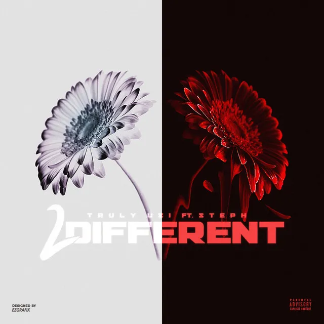 2 Different