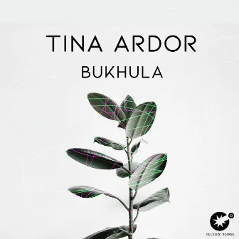 Bukhula by Tina Ardor