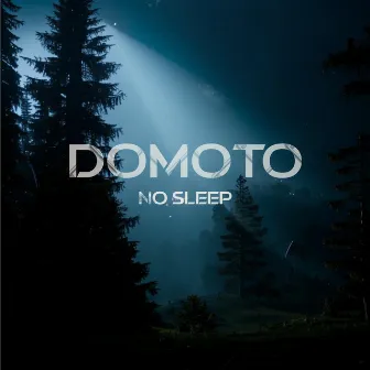 No Sleep by Domoto