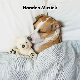 Happy Dogs by Nederlands Ontspannende Muziek