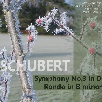 Schubert: Symphony No. 3 in D, Rondo in B Minor by Hephzibah Menuhin