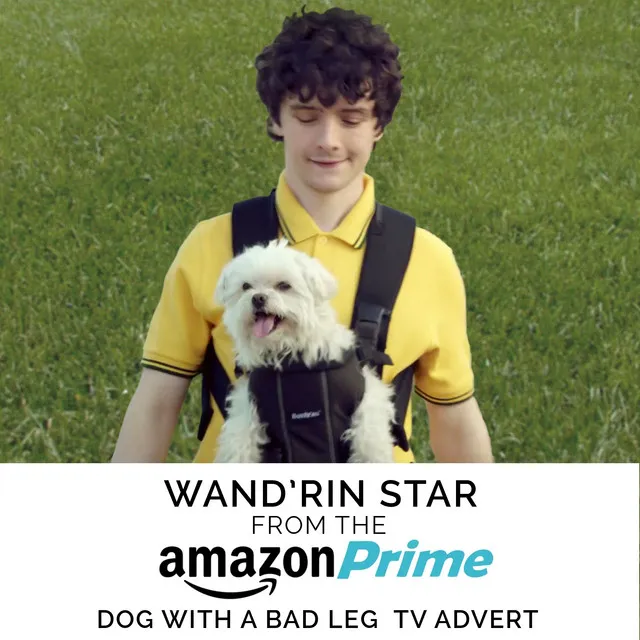 Wand'rin' Star (From the "Amazon Prime - Dog With A Bad Leg" TV Advert)