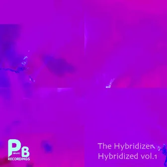 Hybridized vol.1 by The Hybridizer