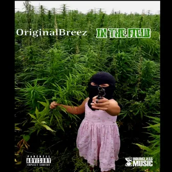 In the field by OriginalBreez