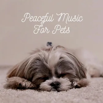 Dog Music by Peaceful Music For Pets