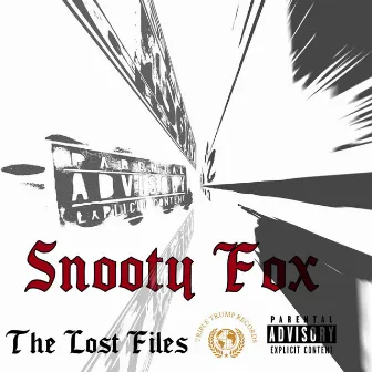 The Lost Files by Snooty Fox