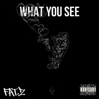 What You See (Radio Edit) by Fat.z