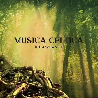 Musica Celtica Rilassante – Irish Folk Ambiance by Medieval Lofi Beats