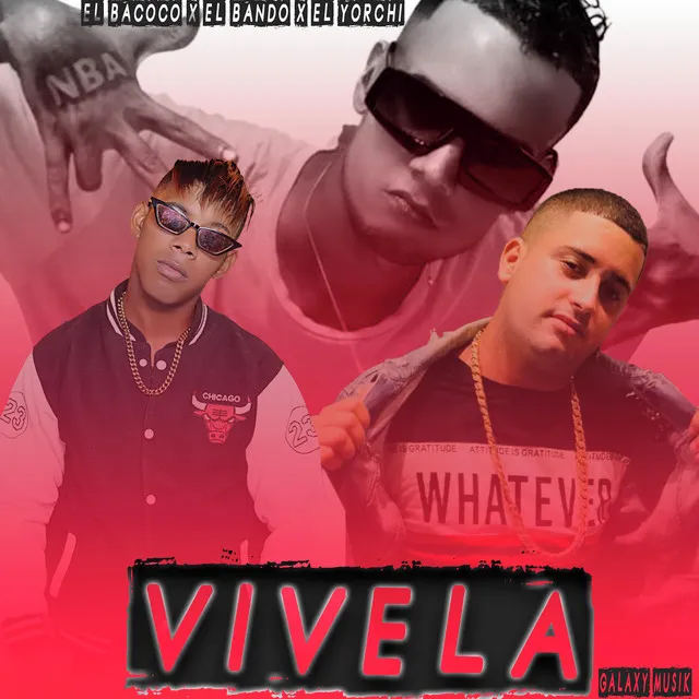 Vivela