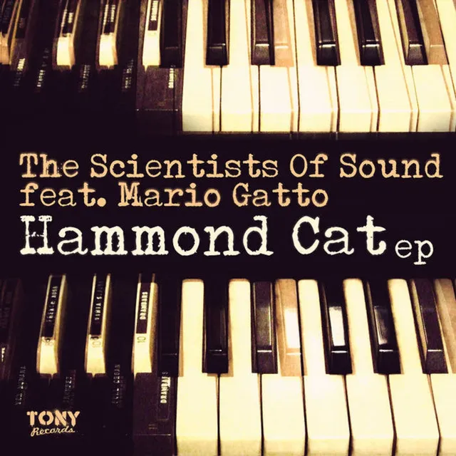 Hammond Cat - Afro Mix