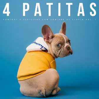 4 Patitas: Confort Y Felicidad Con Sonidos De Lluvia Vol. 1 by Musica para dormir para perros