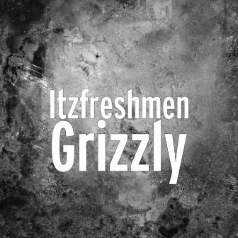 Grizzly by ItzFreshmen