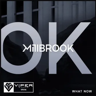 What Now by Millbrook