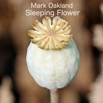 Sleeping Flower by Mark Oakland