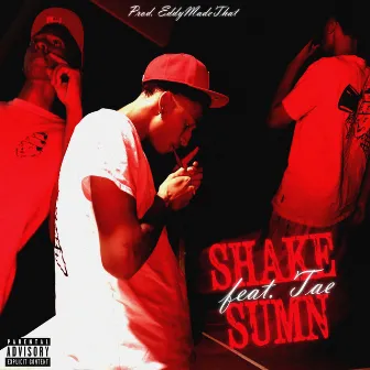 Shake Sumn by Prince Jay The Truth