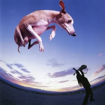 Flying Dog by Paul Gilbert