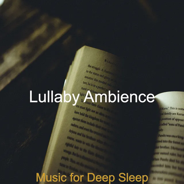 Music For Heavy Sleep