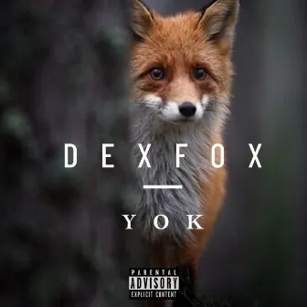 Y O K by Dexfox