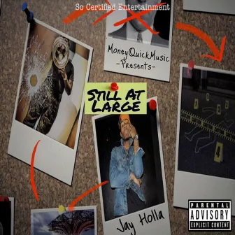 Still at Large by Jay Holla