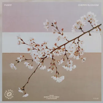 Cherry Blossom by Fugee