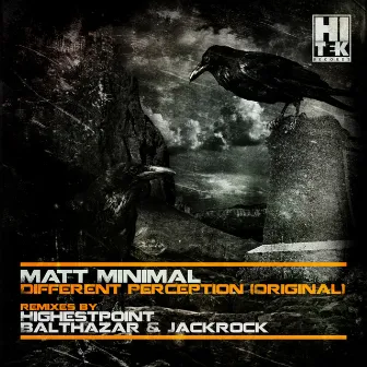 Different Perception EP by Matt Minimal