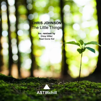 The Little Things by Chris Johnson