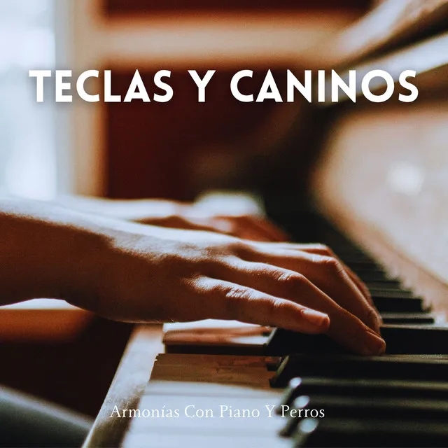 Serenata De Piano Para Perros